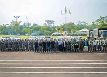 Operação envolve 20 órgãos federais para realizar retirada de invasores da TI Munduruku | Divulgação/Ministério dos Povos Indígenas