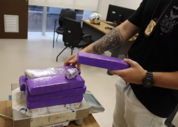 Droga encontrada em 2023 deu origem às investigações sobre o caso. — Foto: PF PA