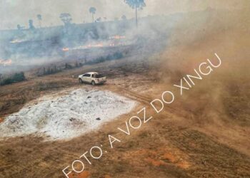 Operação Fênix: Homem é preso acusado de provocar incêndio criminoso na zona rural de Vitória do Xingu, PA