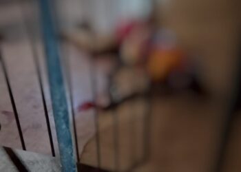 Mulher é esfaqueada em bar no centro de Medicilândia; suspeito é preso horas depois