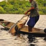 Pescadores da região do Xingu serão incluídos em nova etapa de auxílio extraordinário devido à estiagem