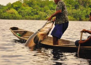 Pescadores da região do Xingu serão incluídos em nova etapa de auxílio extraordinário devido à estiagem