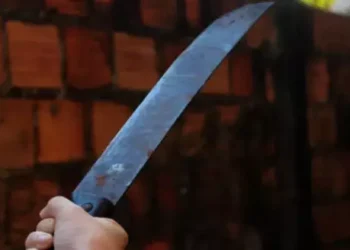 Imagem ilustrativa (Reprodução: AmPress)