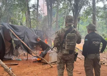 Agentes de segurança atuando no combate ao crime ambiental em Parauapebas. (Foto: Polícia Federal)