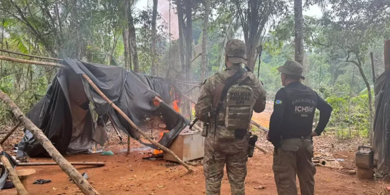 Agentes de segurança atuando no combate ao crime ambiental em Parauapebas. (Foto: Polícia Federal)