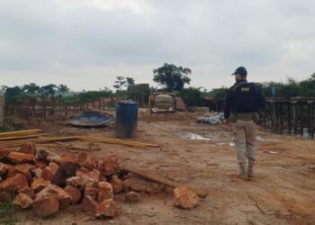 Força-tarefa resgata trabalhadores em condições análogas à escravidão no Pará