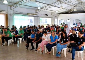 Foto: Divulgação / Agência Pará