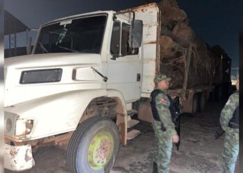 1ª Cipamb apreende madeira ilegal na comunidade Jabuti em Santarém-PA — Foto: Divulgação