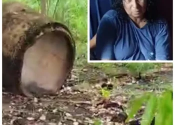 Foto: Reprodução do portal Gazeta Real