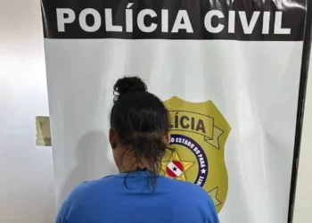 Suspeita detida pela Polícia Civil (Foto: Polícia Civil)