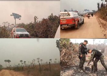 Homens são flagrados pela polícia incendiando vegetação na região do Chapadão, próximo a Santarém (PA)