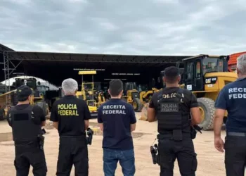 Agentes na ação de combate aos crimes ambientais. (Foto: Polícia Federal)