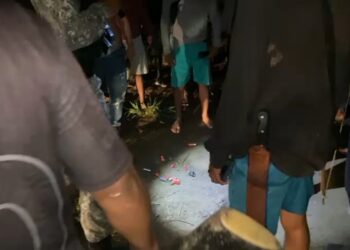 Indígenas do povo parakanã são alvos de ataque no PA. — Foto: Reprodução