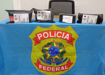 Motorista de caminhão terceirizado dos Correios é preso desviando encomendas de aparelhos celulares. — Foto: Reprodução / PF-PA