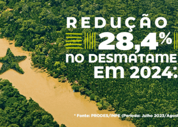 MPF denuncia seis pessoas por garimpo ilegal de cobre no Pará