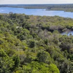 Conflito por território é principal gerador de violência na Amazônia