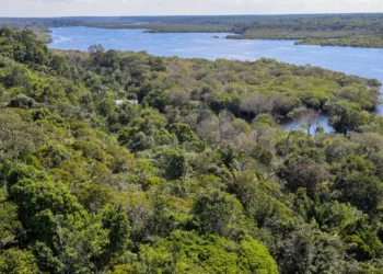 © Fabio Rodrigues-Pozzebom/Agência Brasil