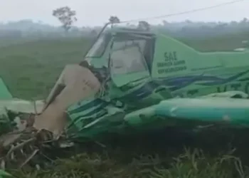 Aeronave caiu em uma fazenda enquanto vazia um voo de teste em Xinguara, no sul do Pará. (Reprodução / @christianemanoel)