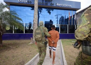 30 pessoas foram presas do Pará e outras cinco fora do estado. — Foto: Ascom/PC