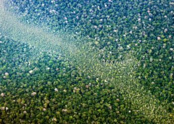 Foto: Bruno Cecim / Ag. Pará