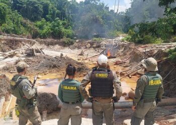 Ibama desarticula garimpo ilegal em Terra Indígena no Pará
