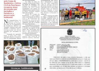 Edição 199: Jornal A Voz do Xingu