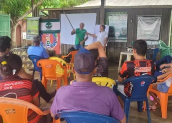 Foto: Divulgação / Agência Pará