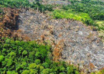 Foto: A Voz do Xingu