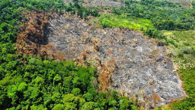Foto: A Voz do Xingu