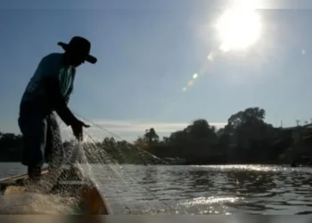 Os contemplados tiveram o Seguro-Desemprego do Pescador Artesanal (Seguro-Defeso) concedido até 29 de novembro de 2024 | Arquivo/Agência Brasil