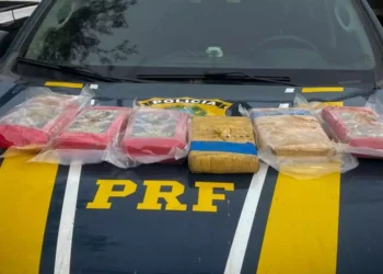 PRF apreende seis quilos de maconha e prende dois homens na BR-230