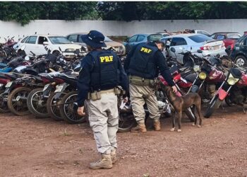 PRF-PA realiza leilão online de veículos retidos em Altamira (PA)