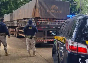 A imagem mostra dois policiais rodoviários federais atrás da carga de madeira ilegal confiscada. (Foto: Divulgação | PRF)