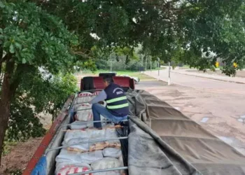 A imagem mostra um servidor da Secretaria de Estado da Fazenda (Sefa) em cima do automóvel de carga que transportava a carga de farinha de trigo. (Foto: Divulgação | Agência Pará)