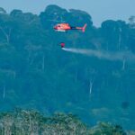 Estado realiza lançamento de sementes para recuperar áreas afetadas por queimadas no Pará