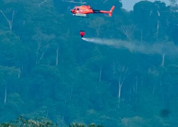 Foto: Bruno Cruz / Agência Pará