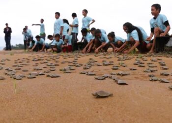 Foto: Divulgação / Norte Energia