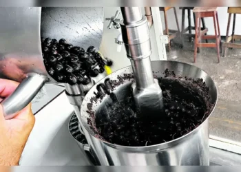 O preço do açaí segue aumentando nos pontos de vendas | Irene Almeida