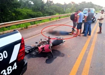 Motociclista morre em acidente na BR-230 em Novo Repartimento. (Reprodução)