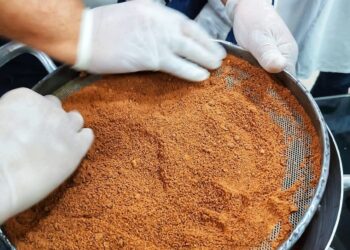 Transformando o cacau em oportunidades: Empreendedores do Xingu buscam sustentabilidade e inovação