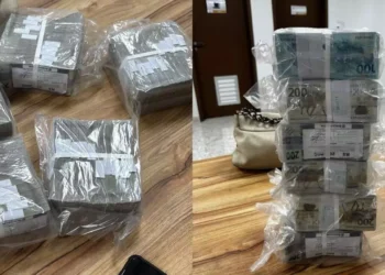 Registro da apreensão feita pela PF (Foto: Divulgação | PF)