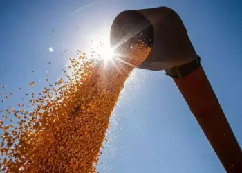 Produção de grãos será inferior a safra anterior (CNA/Wenderson Araujo/Trilux)