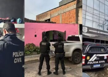 Operação foi deflagrada nesta quinta-feira (23/1). — Foto: Reprodução / PC PA