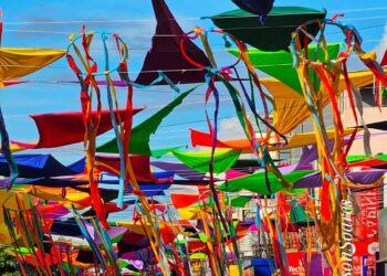 Foto: Wilson Soares / A Voz do Xingu