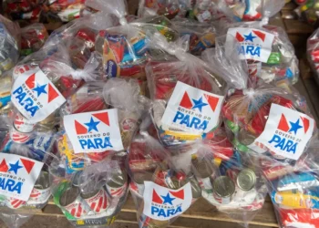 Famílias de Altamira afetadas pela estiagem receberão cestas básicas nesta quarta-feira (26)