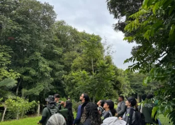 Foto: Agência Pará / Divulgação