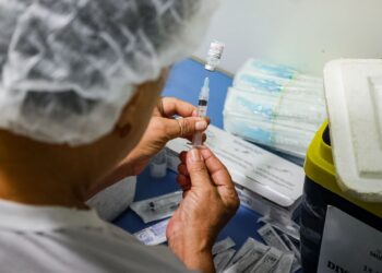 Foto: Divulgação / Agência Pará