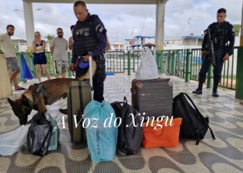 Foto: Vitor Danilo / A Voz do Xingu
