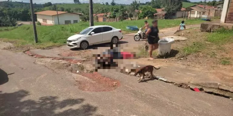 A Polícia Científica, após ter sido comunicado sobre o ocorrido, realizou a perícia de local de crime e a remoção do corpo. Ainda conforme o Correio, Arionedes era ex-morador de Jacundá, também no sudeste do estado, mas atualmente residia em Novo Repartimento. O corpo será velado e sepultado em sua cidade de origem. A motivação do assassinato de “Ney” ainda é desconhecida. Para a Redação Integrada de O Liberal, a PC informou que "a delegacia de Novo Repartimento apura as circunstâncias do homicídio" e que "perícias foram solicitadas para auxiliar nas investigações". Informações que ajudem na apuração do caso podem ser repassadas pelo Disque-Denúncia, 181.