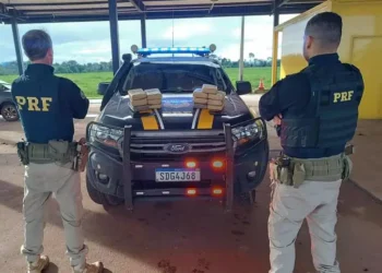 O motorista foi preso e encaminhado junto com a droga apreendida, à Delegacia da Polícia Civil de Trairão para a realização dos procedimentos cabíveis, em tese, pelo crime de tráfico de drogas. (Divulgação/ PRF)